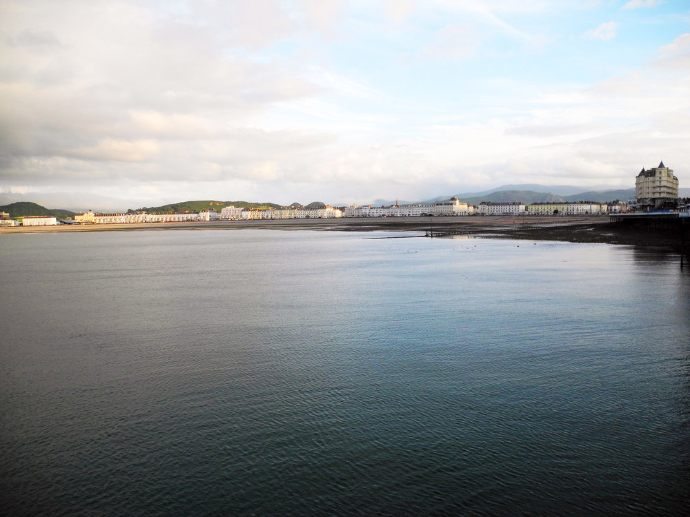DSCN0703.jpg