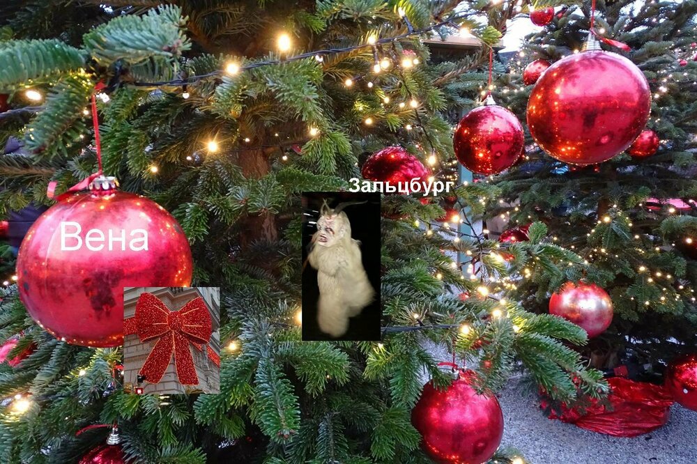 елка Зальцбург 2.jpg