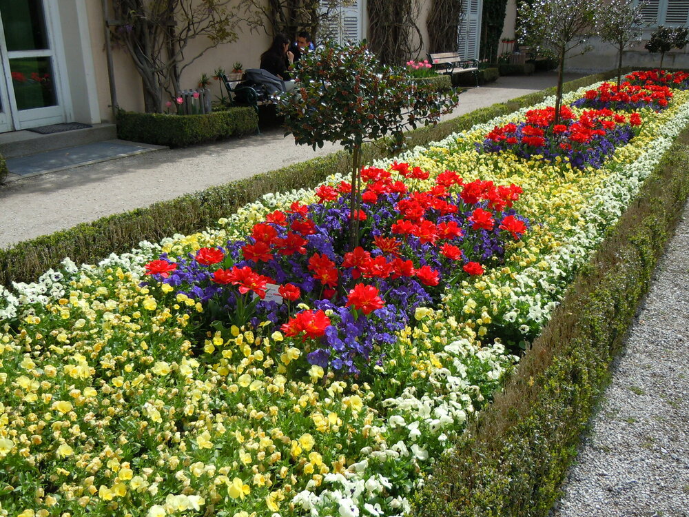 Изображение 250.jpg