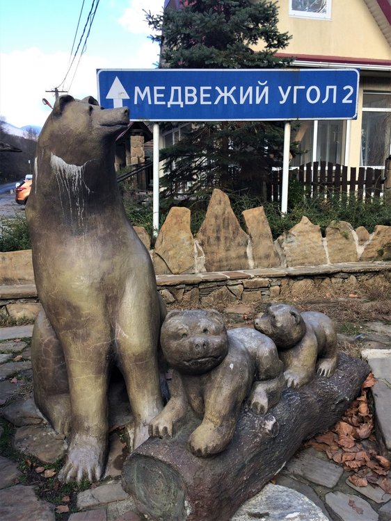 18.11.24_045_ Медвежий угол.JPG