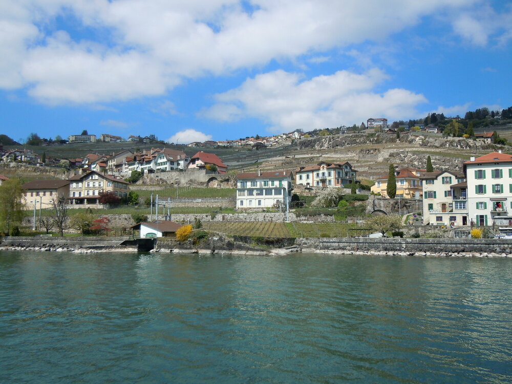 Изображение 118.jpg