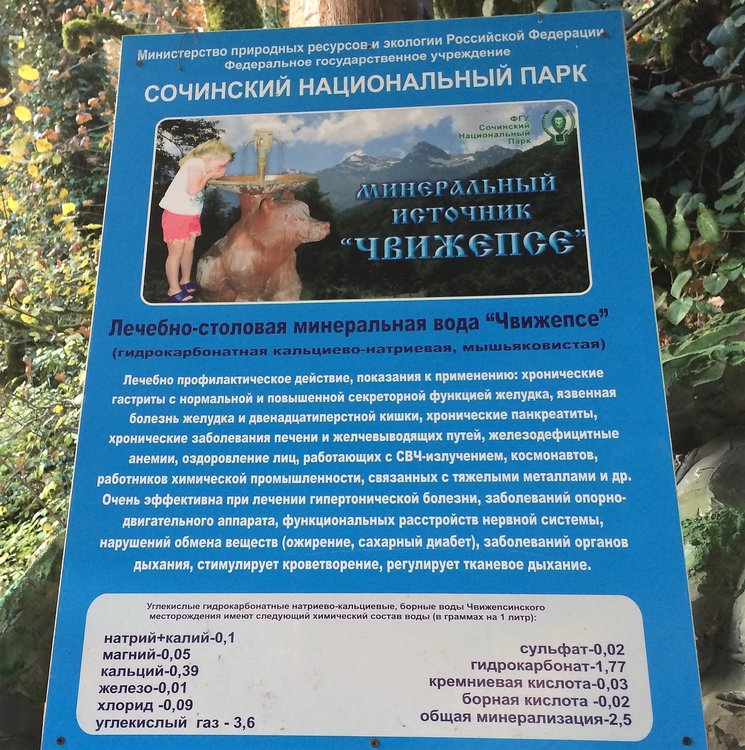 18.11.24_049_ Минеральный источник Чвижепсе.JPG