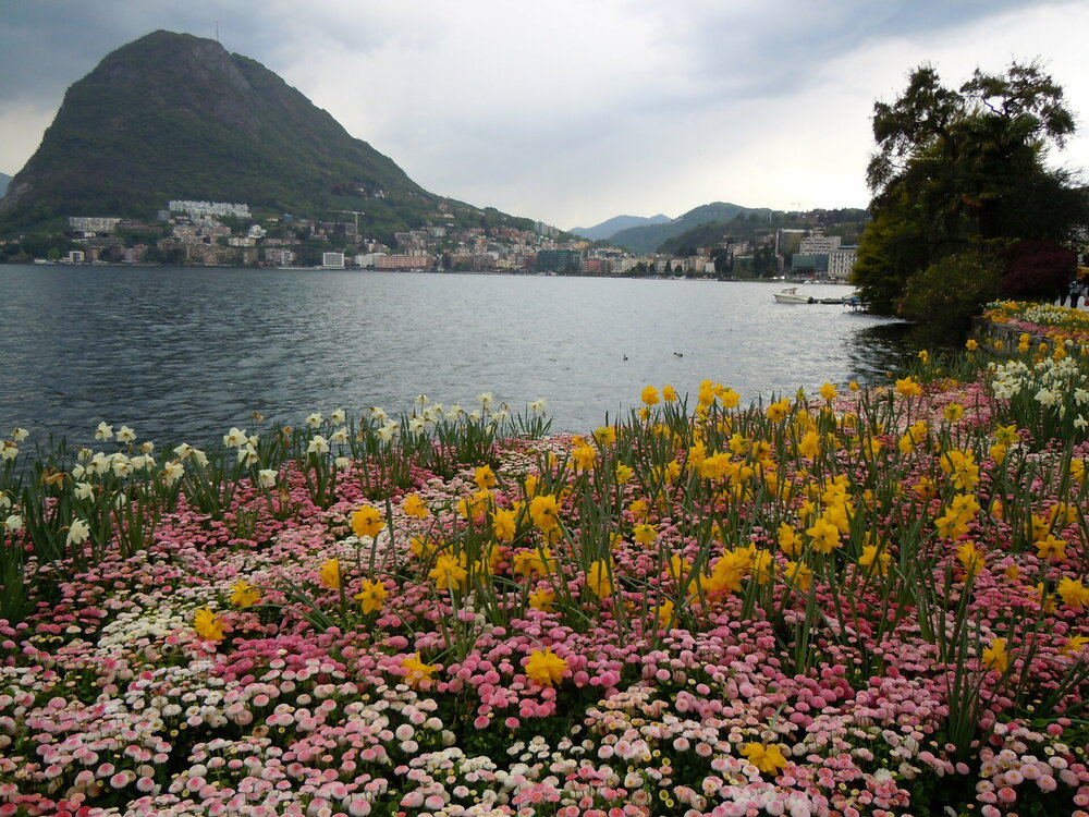 Изображение 657.jpg