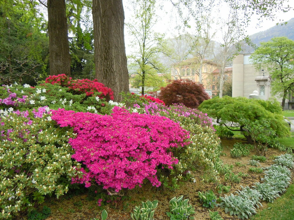 Изображение 639.jpg