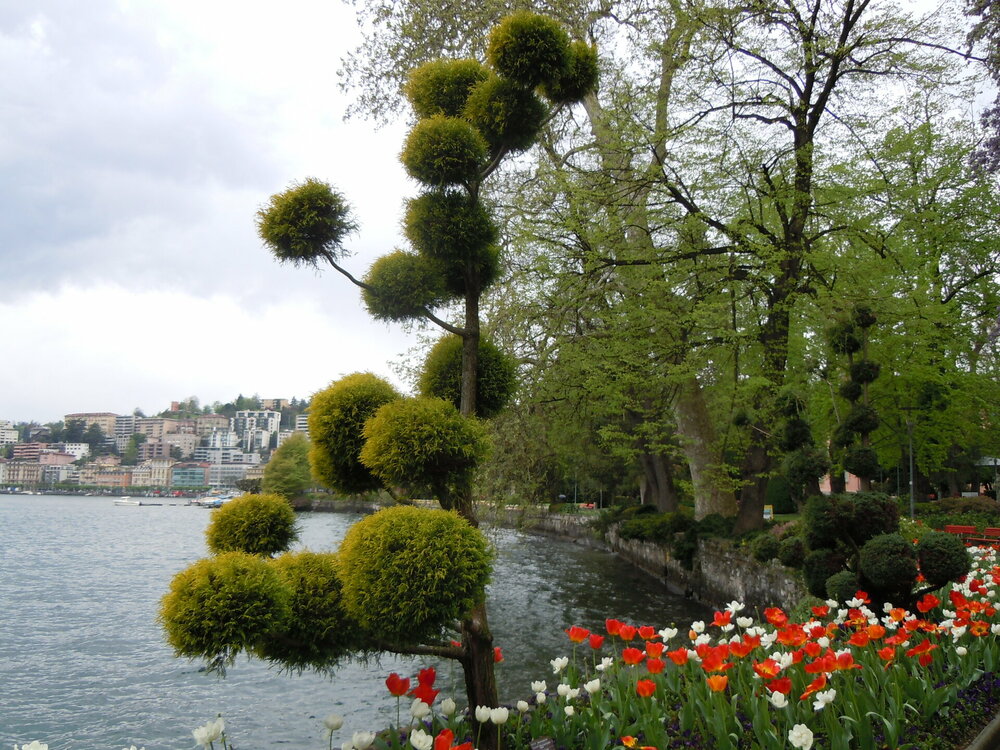 Изображение 637.jpg