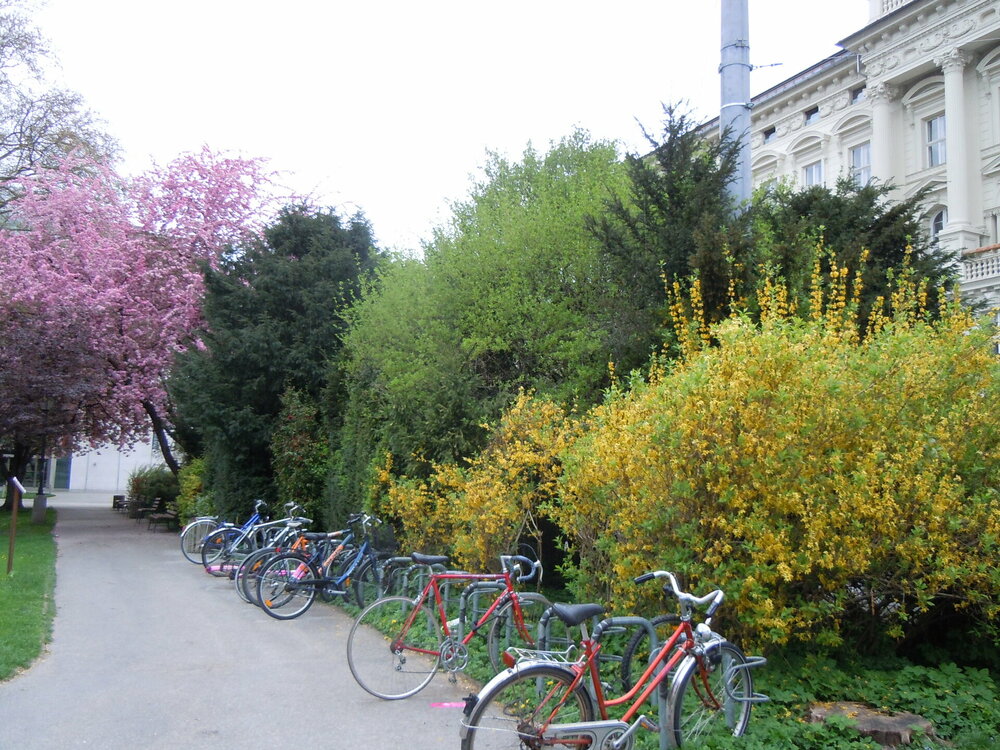 Изображение 420.jpg