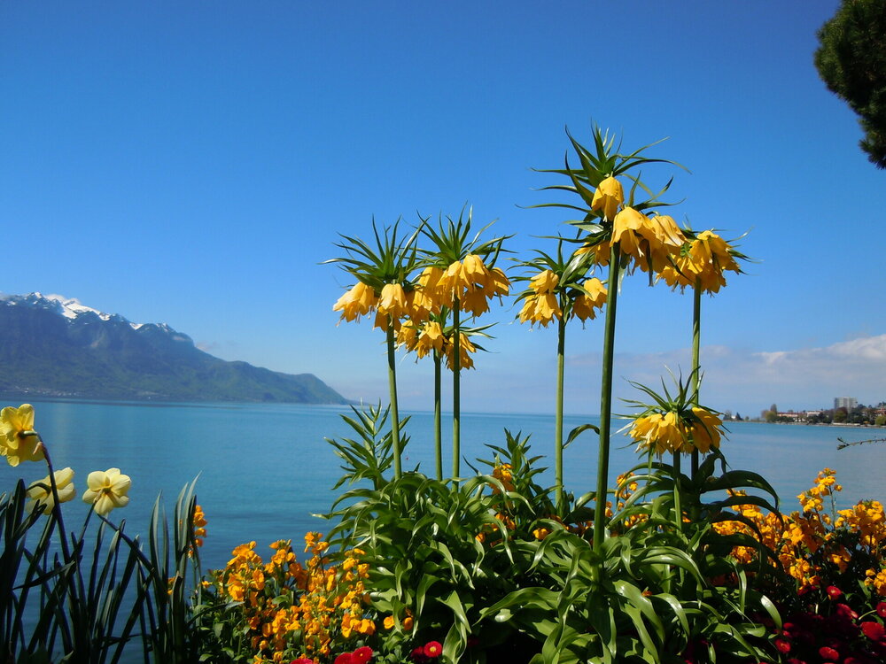 Изображение 009.jpg