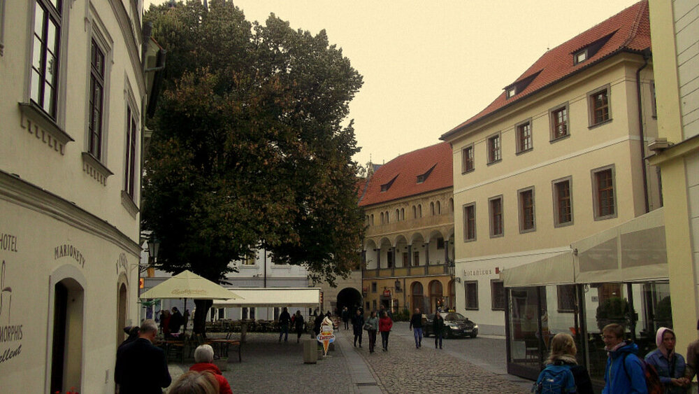 Золотые стёжки Чешского Рая 579.JPG