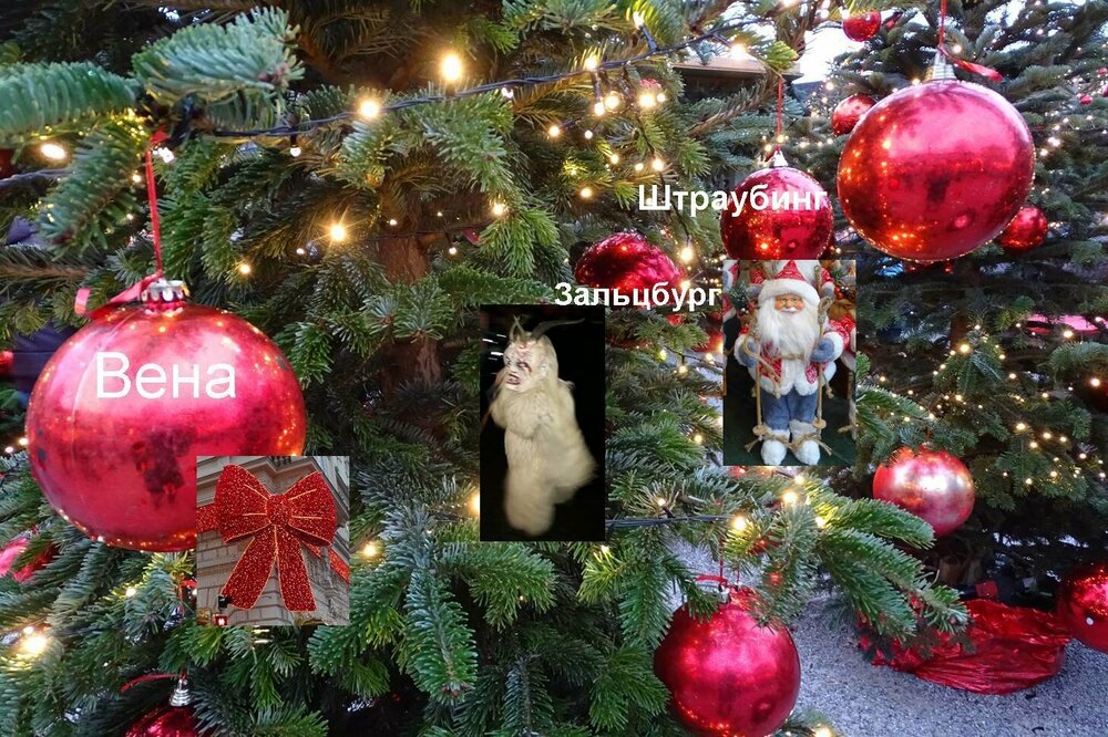 ель Штраубинг.jpg