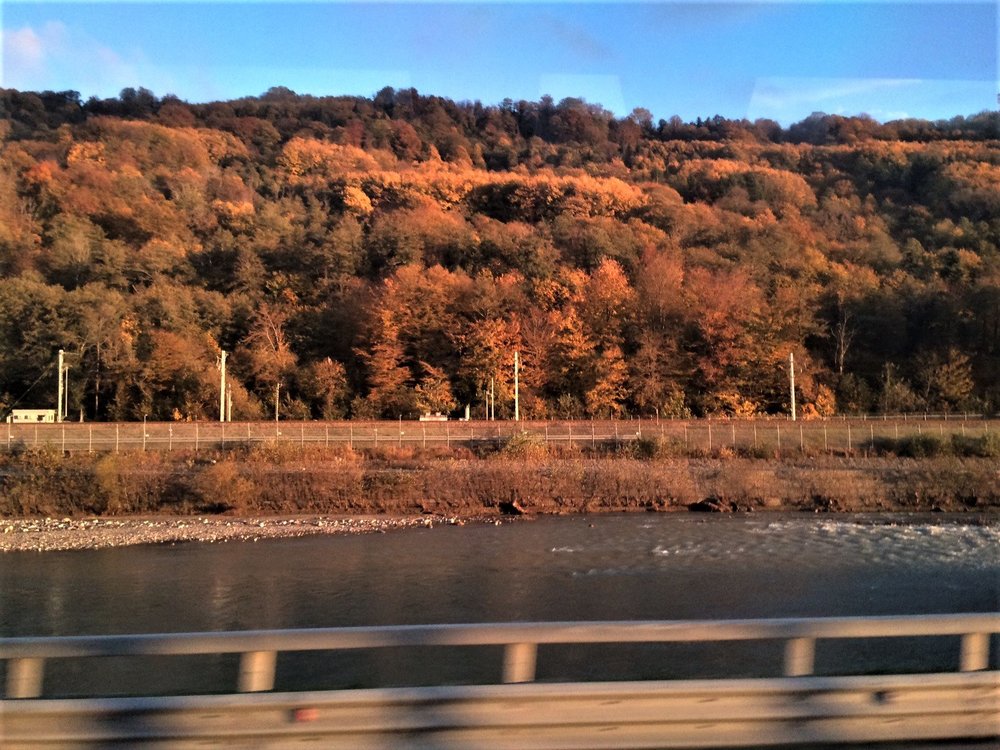 18.11.23_002_ едем в Олимпийский парк.JPG