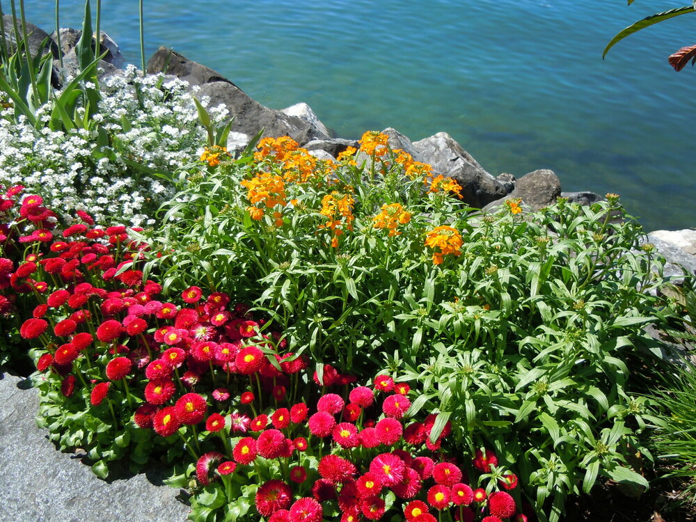 Изображение 015.jpg