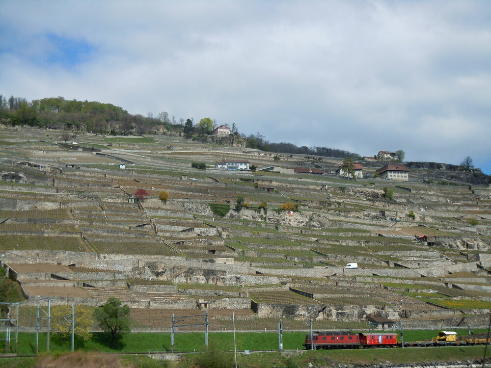 Изображение 114.jpg