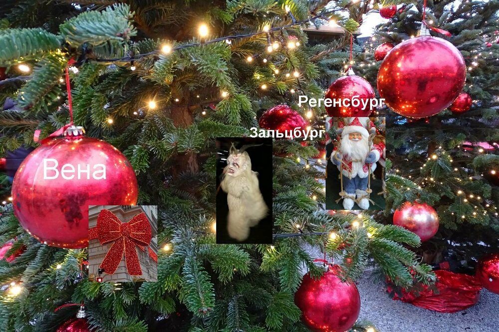 ель Регенсбург.jpg