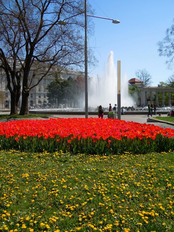 Изображение 105.jpg