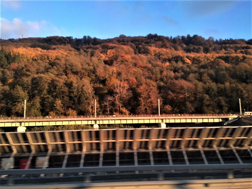 18.11.23_001_ едем в Олимпийский парк.JPG