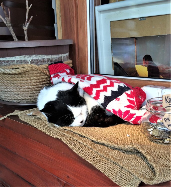 18.11.24_065_ Горки город.JPG