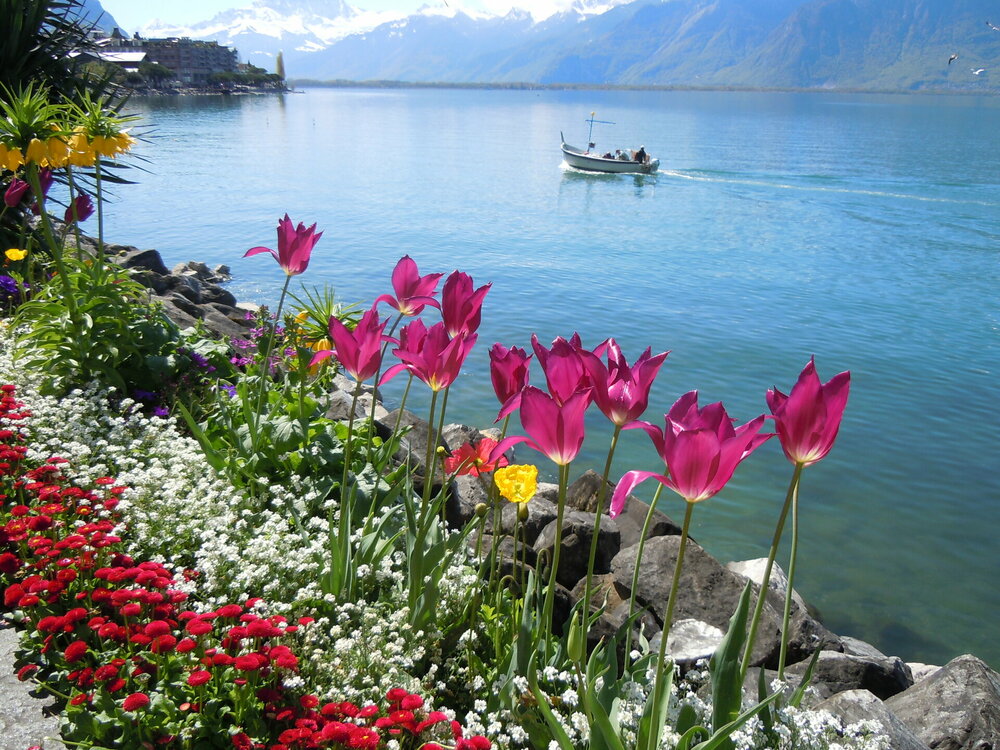 Изображение 014.jpg