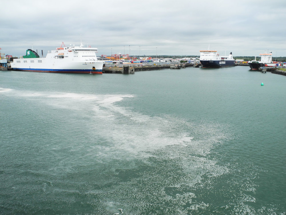 DSCN0769.jpg