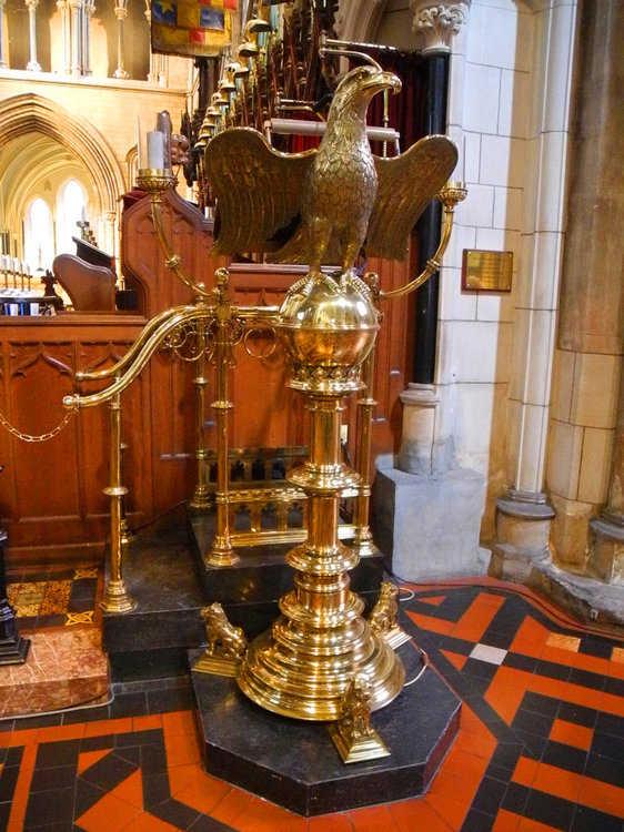 DSCN0798.jpg