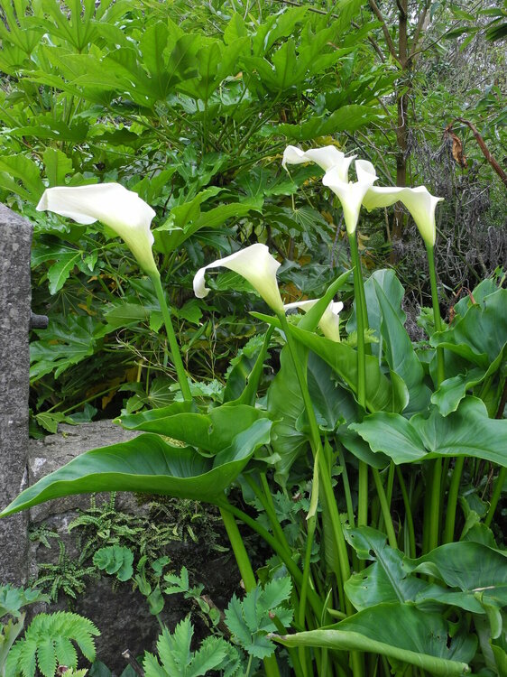DSCN0836.JPG