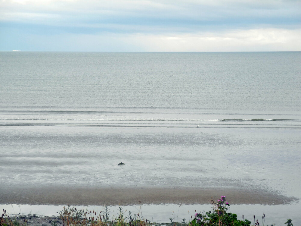 DSCN0868.jpg