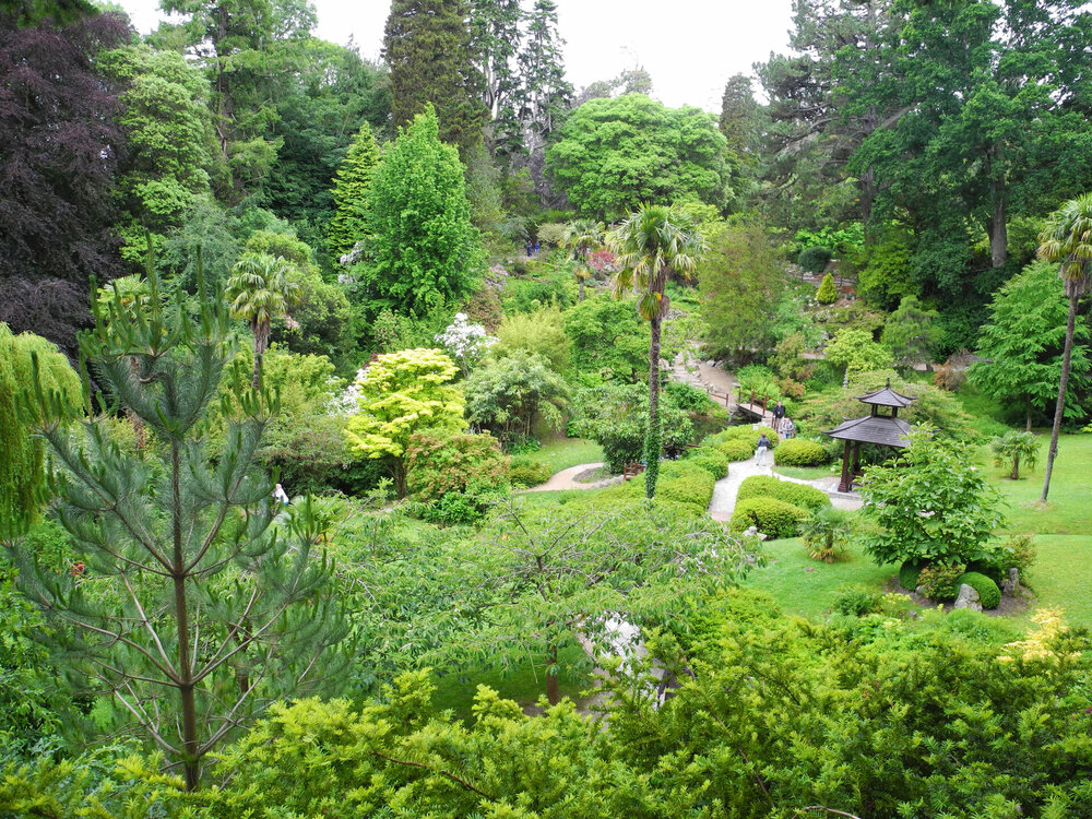 DSCN0912.jpg