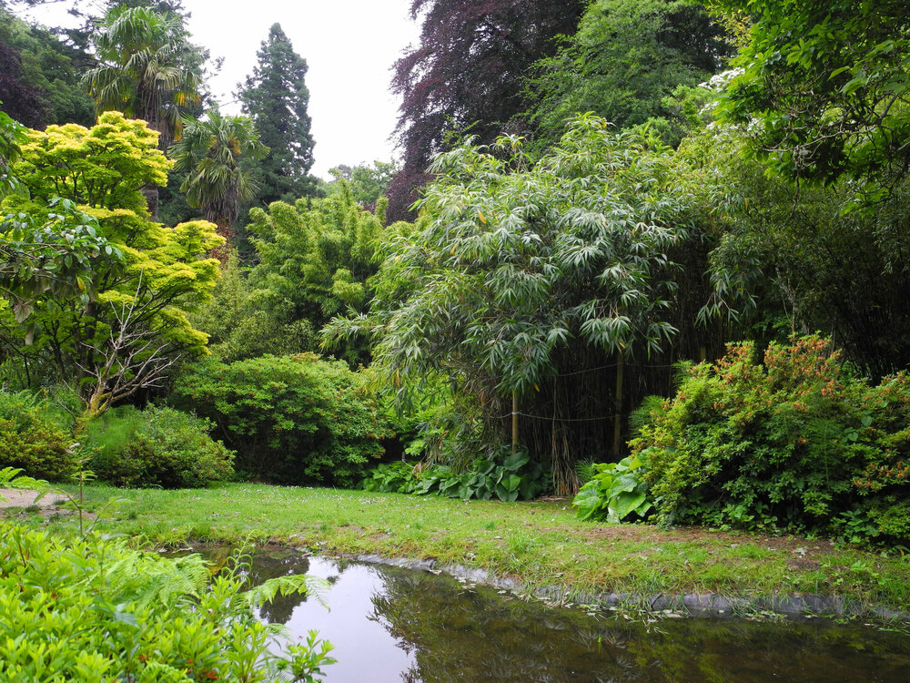 DSCN0915.jpg