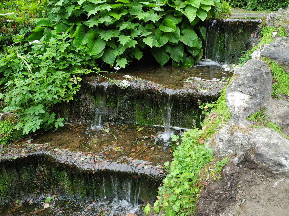 DSCN0916.JPG