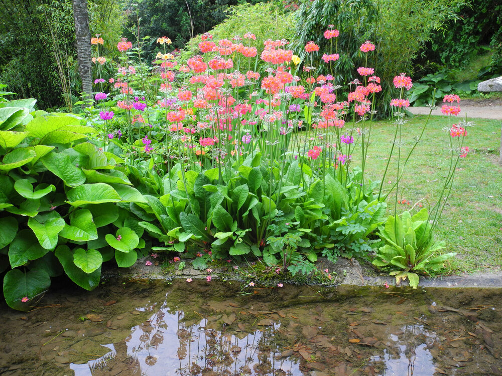 DSCN0917.jpg