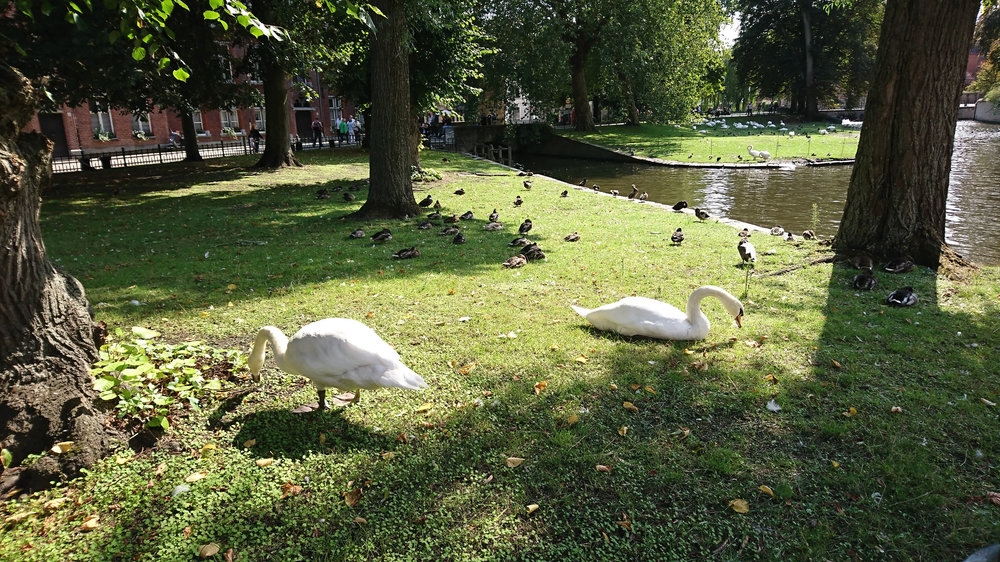 DSC_4432.JPG