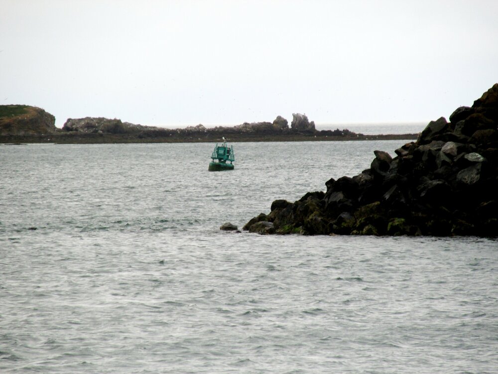 IMG_1890-0.JPG