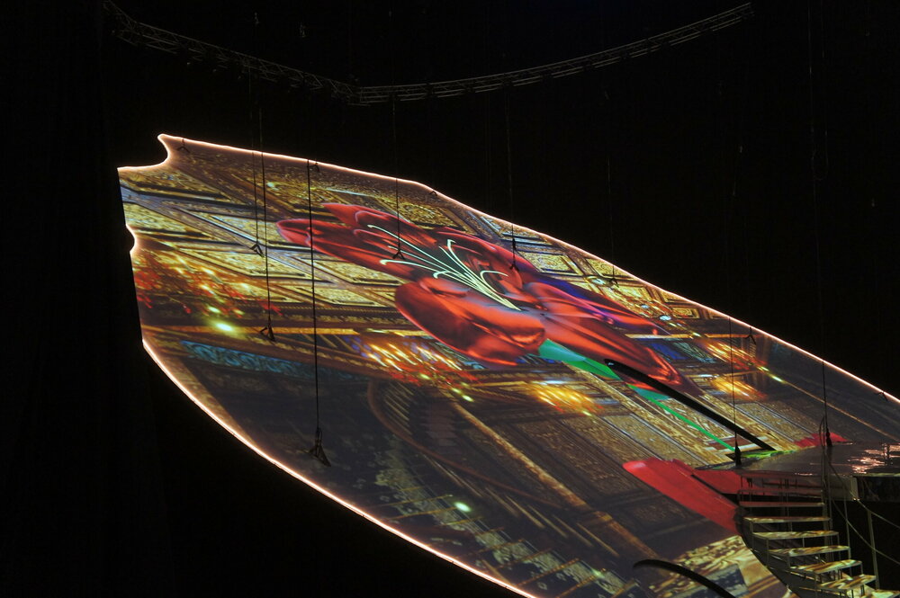 DSC07789   Аленький цветочек 3.01.19 г   .JPG