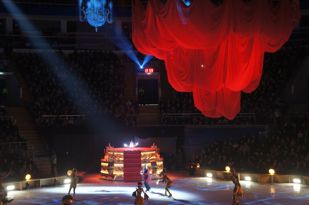 DSC07816   Аленький цветочек 3.01.19 г   .JPG