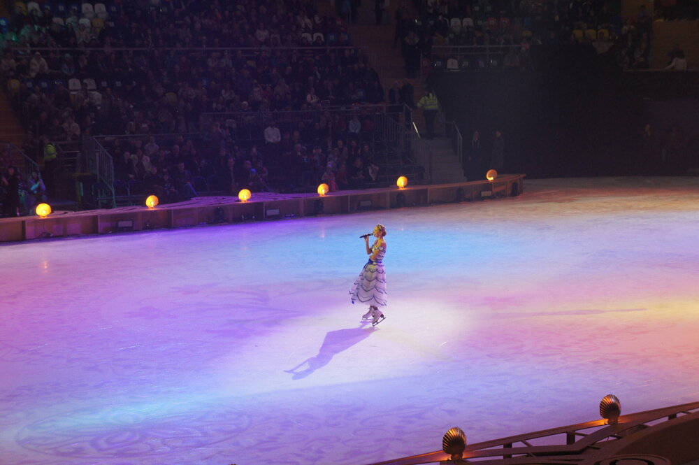 DSC07897   Аленький цветочек 3.01.19 г   .JPG