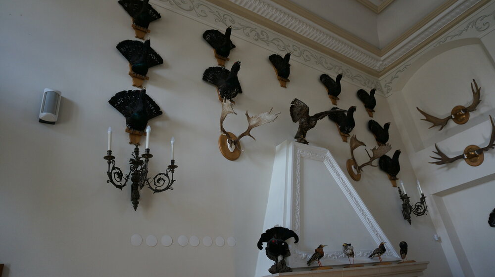 DSC02162 — копия.JPG