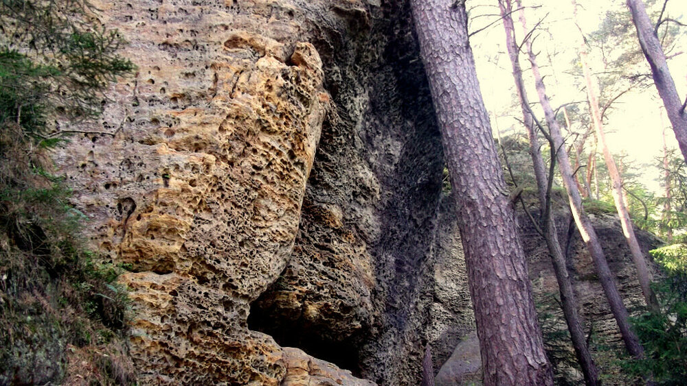 Золотые стёжки Чешского Рая 1115.JPG