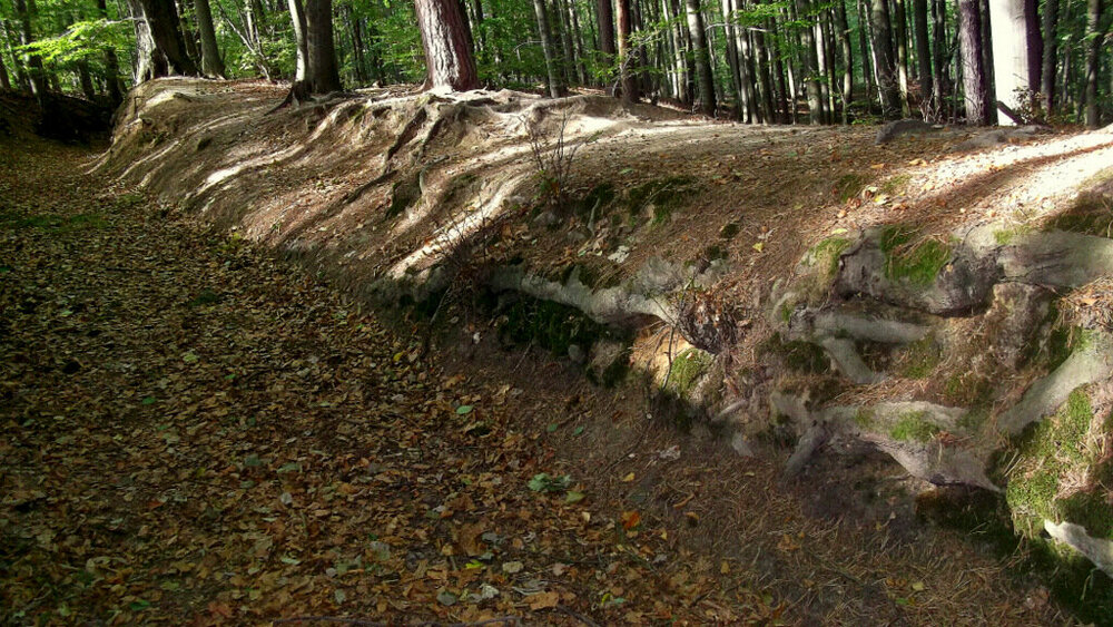 Золотые стёжки Чешского Рая 1253.JPG