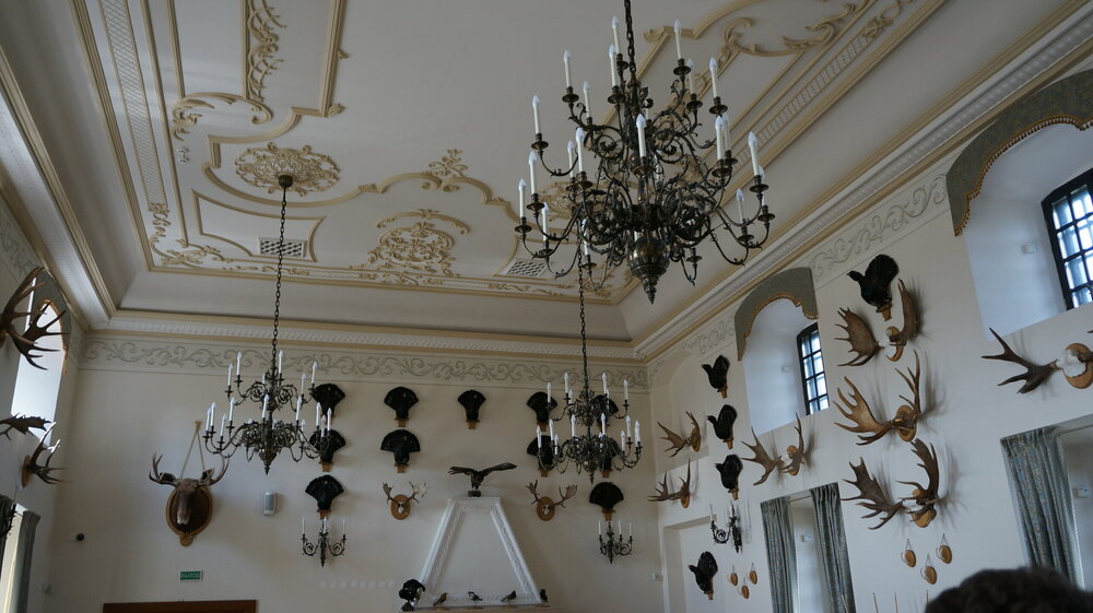 DSC02157 — копия.JPG