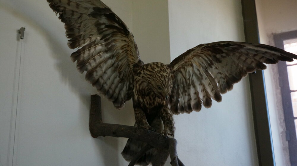 DSC01929 — копия.JPG