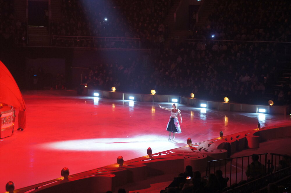 DSC07879   Аленький цветочек 3.01.19 г   .JPG