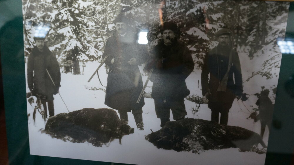 DSC02154 — копия.JPG