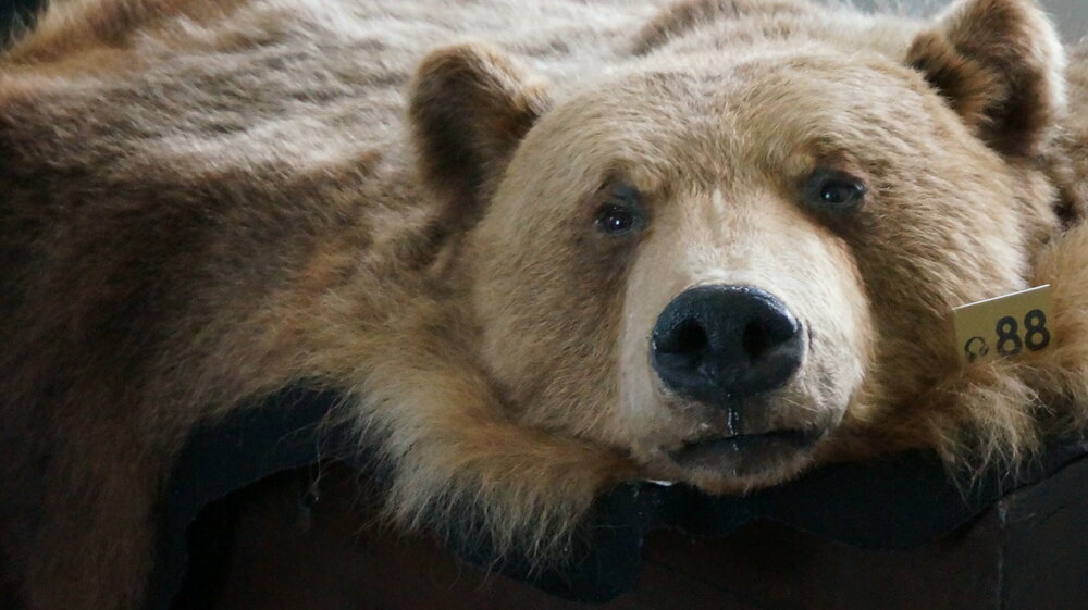 DSC01927 — копия.JPG