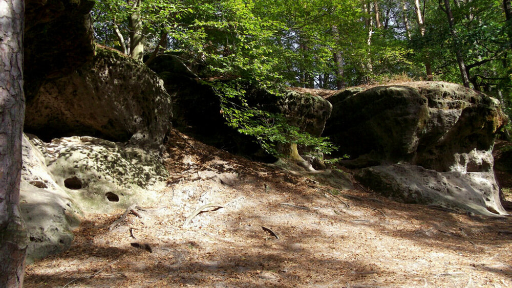 Золотые стёжки Чешского Рая 1245.JPG