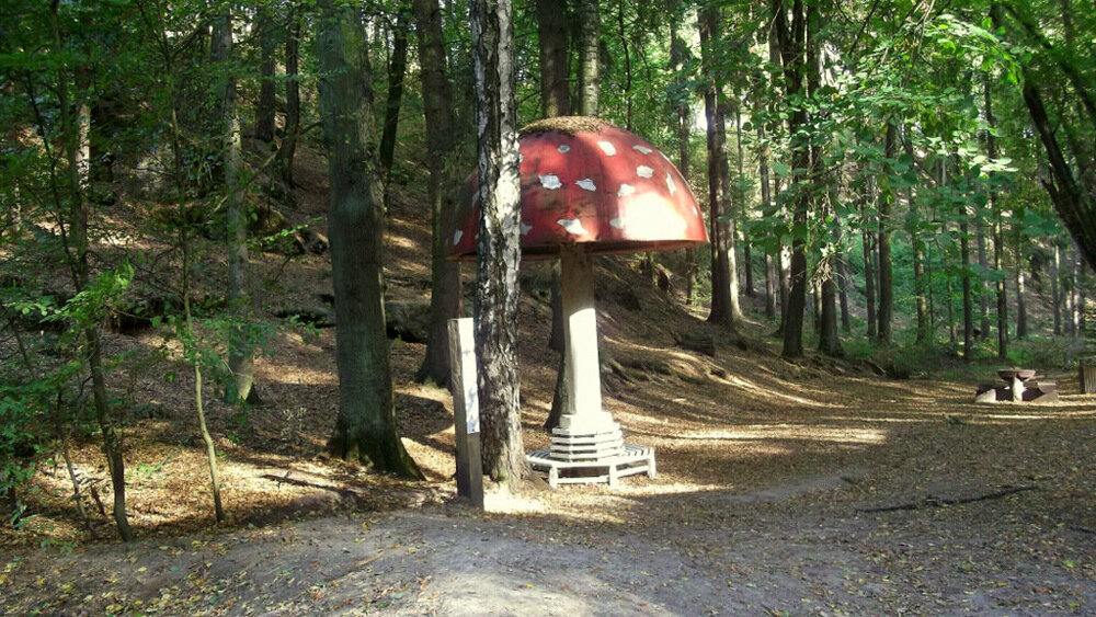 Золотые стёжки Чешского Рая 1302.JPG