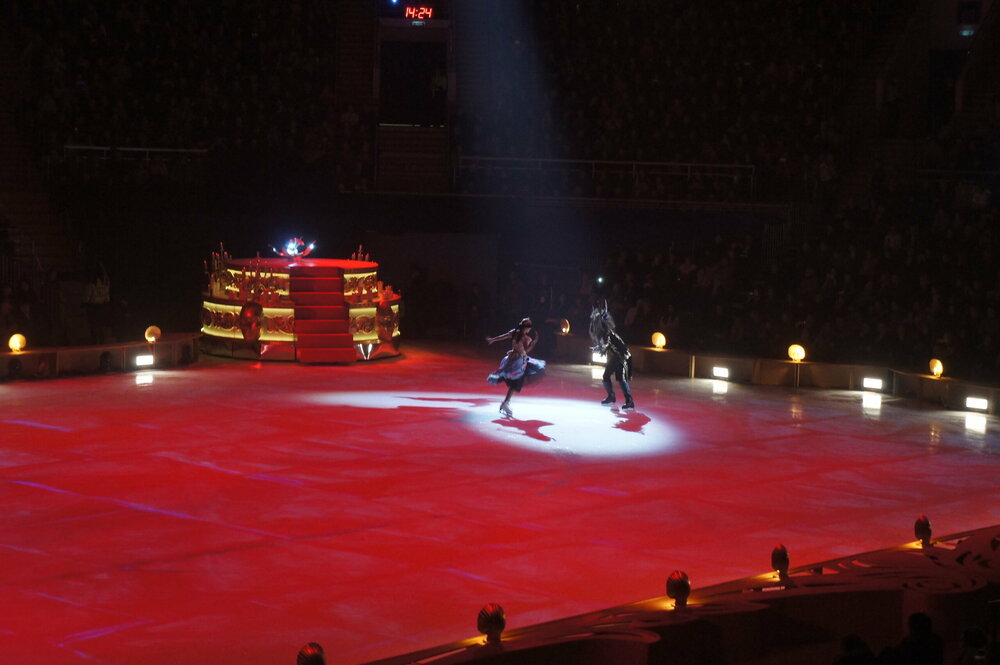 DSC07841   Аленький цветочек 3.01.19 г   .JPG