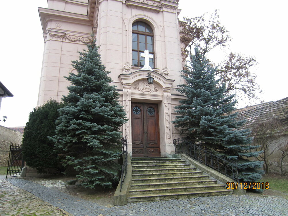 2018-30-Руст 8-3.JPG