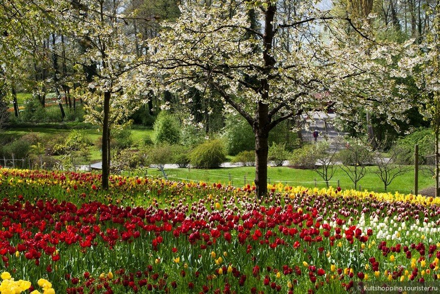 870_581_fixedwidth (2).jpg