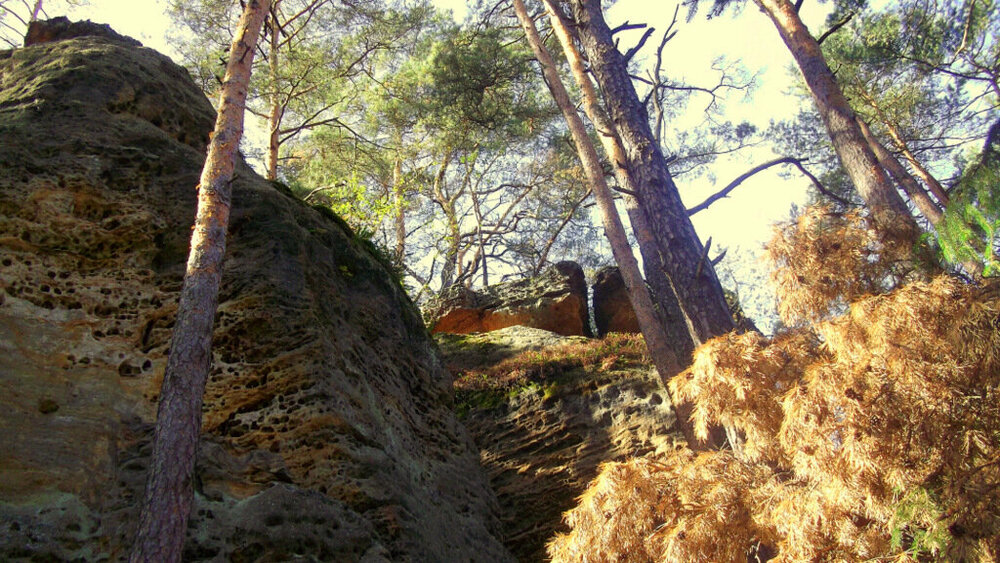 Золотые стёжки Чешского Рая 1120.JPG