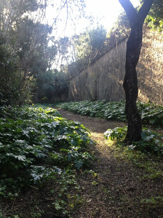 IMG_1618 - копия.JPG