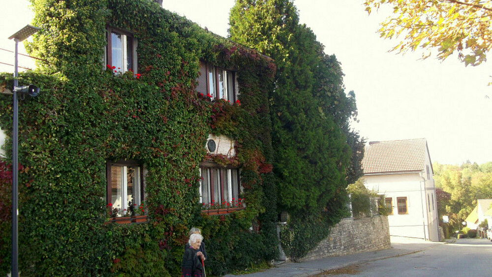 Золотые стёжки Чешского Рая 1354.JPG